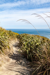 Sandy path leading to the sea