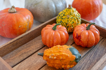 Herbstliche Kürbis Deko