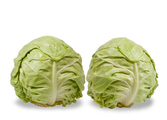 Obraz premium Cabbages