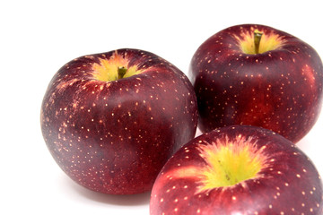 信州特産りんご　秋映え