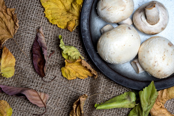 top view - rustic plate of mushrooms on woven natural material, surrounded by autumn leaves