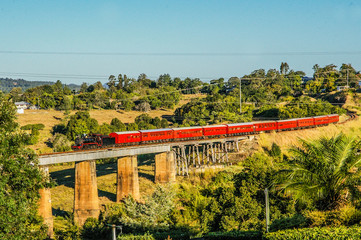 Fototapeta premium Train