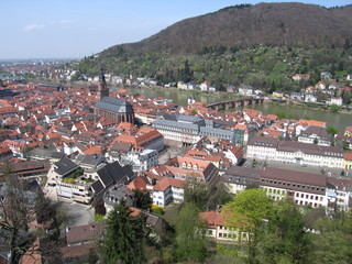 Blick auf Heidelberg