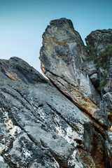 Detail of grey mountain rocks with contrast texture and a pine tree growing on top. Sandstone rock formation Teufelsmauer (Devil's Wall) in Blankenburg, National park Harz in Germany, Harz Mountains.