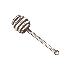 Hand drawn honey wooden deeper stick in sketch style. Vector Illustration isolated on white background.