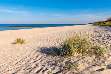 Grass, white sand and beautiful beach. Baltic Sea. Poland