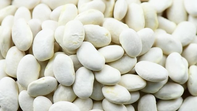 White beans rotation