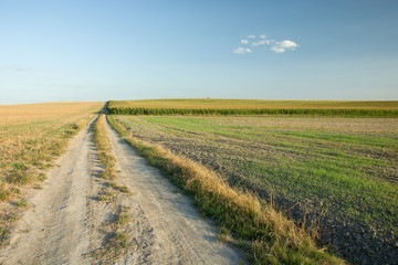 Long country road through fields