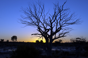 Spring sunset over Lake Magic, Hyden, WA, Australia