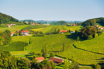 Austria Vineyards Sulztal wine street area south Styria , wine country. Tourist destination