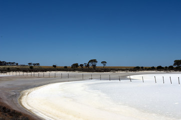 Fence posts through salt lake between Hyden and Albany, WA, Australia