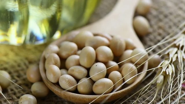 soy beans in wood spoon rotation