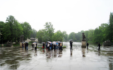 Obraz premium rain in the park