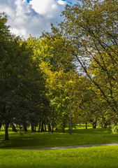 Naklejka premium Złota polska jesień. Kolory jesieni. Kraków. Polska