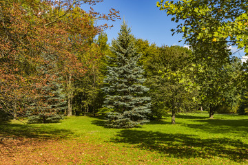 Golden Polish autumn. Autumn colors. Cracow. Poland