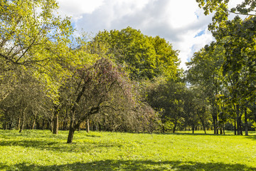 Fototapeta premium Golden Polish autumn. Autumn colors. Cracow. Poland