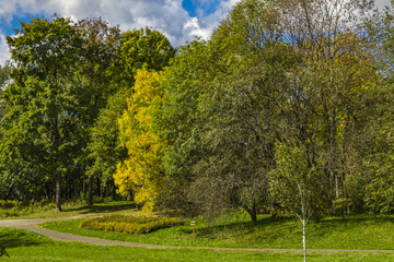 Fototapeta na wymiar Golden Polish autumn. Autumn colors. Cracow. Poland