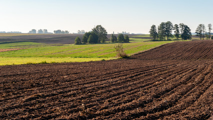 Jesienny poranek z przymrozkiem i szronem, Polska, Podlasie © podlaski49