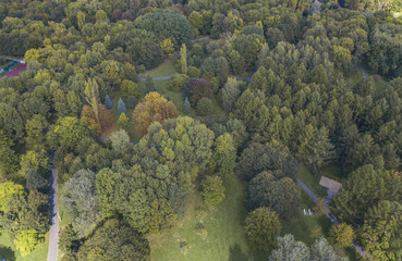 Golden Polish autumn. Autumn colors. Cracow. Poland