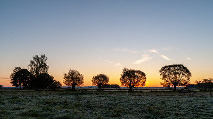 Jesienny poranek z przymrozkiem i szronem, Polska, Podlasie © podlaski49