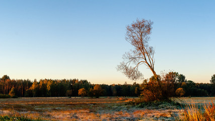 Jesienny poranek z przymrozkiem i szronem, Polska, Podlasie © podlaski49