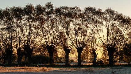 Jesienny poranek z przymrozkiem i szronem, Polska, Podlasie © podlaski49