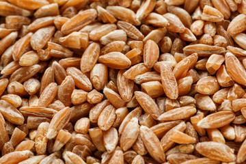 Natural background of a grain of cereal seeds, close-up