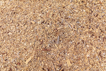 Wood sawdust on the ground as an abstract background