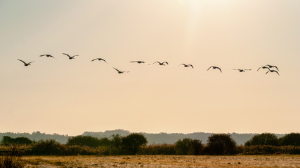 Jesienny poranek z przymrozkiem i szronem, Polska, Podlasie © podlaski49
