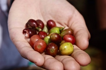 Colombia