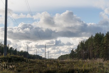 Obraz premium High-voltage power line in a forest against a cloudy sky background