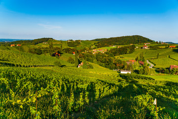 Fototapeta na wymiar Austria Vineyards Sulztal wine street area south Styria , wine country. Tourist destination
