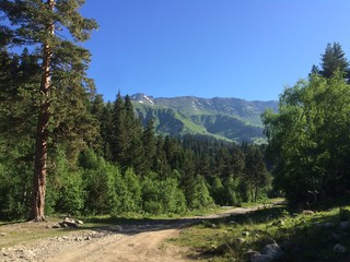 Beautiful view of the mountains and forest. View of the road and trees.