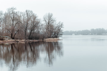 Tree  near the Dnieper River in Kiev. Gray winter day in Ukraine