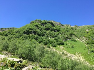 View of the rocky mountains, trees and grass in the sunny summer day.