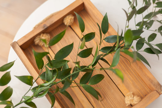 Greenery branch on the wooden tray