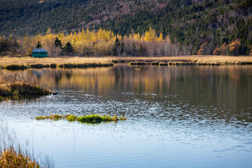 Late autumn landscape of Long Pond, St. John's, Newfoundland and Labrador