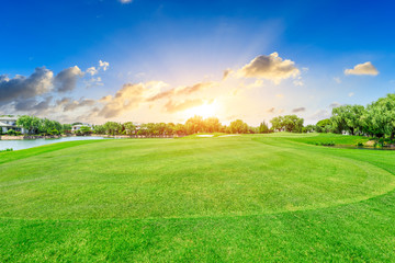 Green lawn and forest with beautiful sky sunset cloud landscape