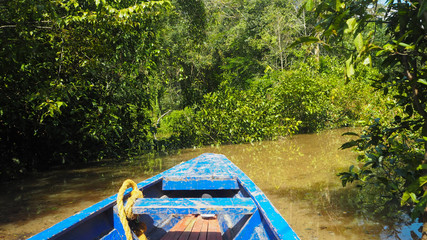 boat at a beautiful sunny day at the amazonas river