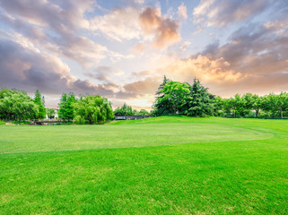 Green lawn and forest with beautiful sky sunset cloud landscape