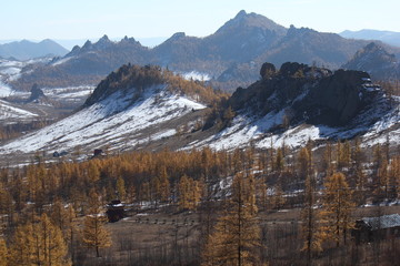 Panoramic scenic view over snowy mountain range and yellow conifer forest in autumn fall at Terelji National Park, Mongolia, Asia