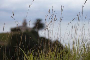  Blurred View Of The Lighthouse Of Candas