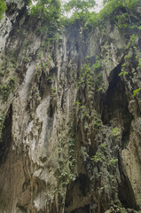 The cave. Magnificent view of cave