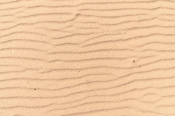 Fototapeta na wymiar Sandy surface with waves from the wind, macro
