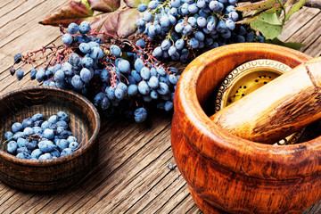 Berries in herbal medicine