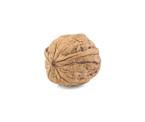 nut in the peel on a white background