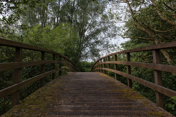 Fototapeta na wymiar Wooden bridge leading to a forest