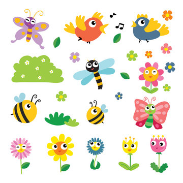 insect and flower vector collection design