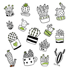 cactus vector collection design