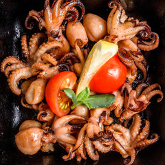 webfoot octopus Stir-fried Dishes